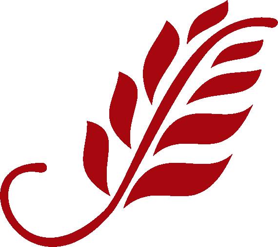 blog image